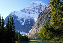 开云体育app下载-挪威遭遇尴尬失利，出线前景堪忧